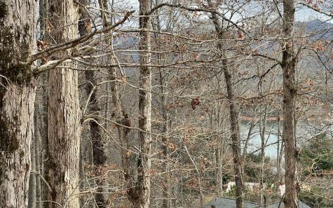 Lot 1c Lakewood Hills Hayesville NC 28904