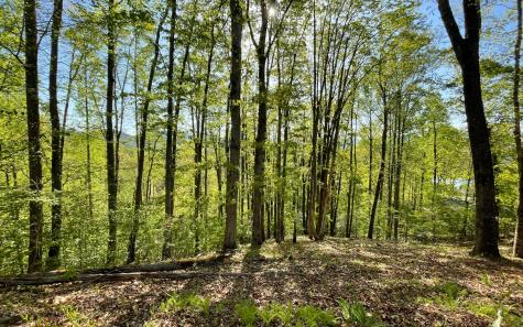 Lot 1c Lakewood Hills Hayesville NC 28904