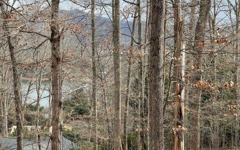 Lot 1c Lakewood Hills Hayesville NC 28904