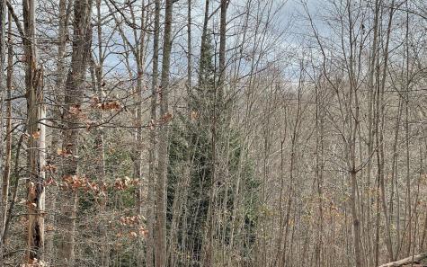 Lot 1c Lakewood Hills Hayesville NC 28904