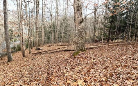 Lot 1c Lakewood Hills Hayesville NC 28904