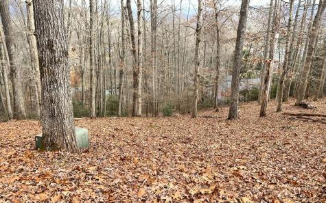 Lot 1c Lakewood Hills Hayesville NC 28904