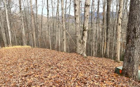 Lot 1c Lakewood Hills Hayesville NC 28904