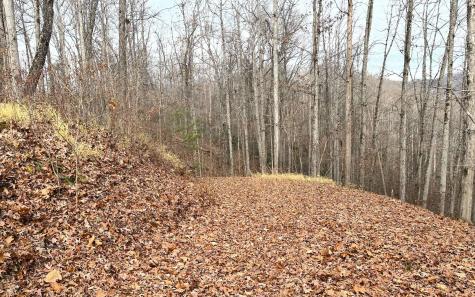 Lot 1c Lakewood Hills Hayesville NC 28904