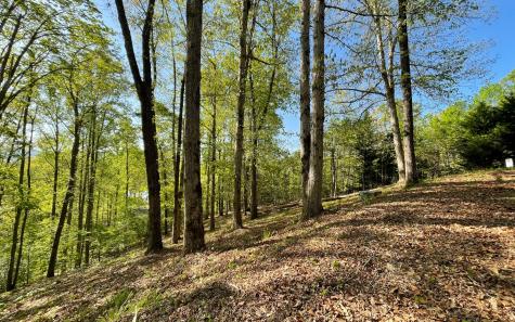 Lot 1c Lakewood Hills Hayesville NC 28904
