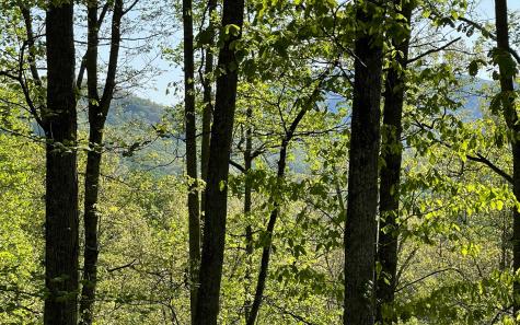 Lot 1c Lakewood Hills Hayesville NC 28904