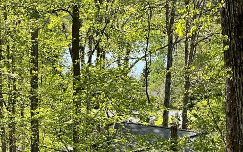 Lot 1c Lakewood Hills Hayesville NC 28904