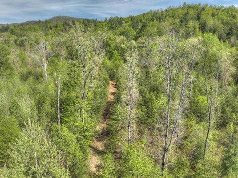 138.06AC N Highway 515 Ellijay GA 30540