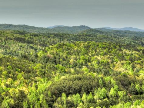 138.06AC N Highway 515 Ellijay GA 30540