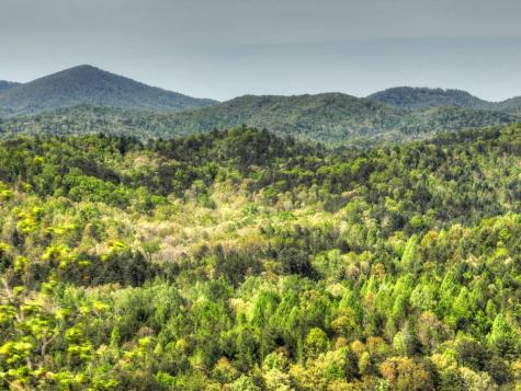 138.06AC N Highway 515 Ellijay GA 30540