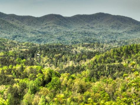 138.06AC N Highway 515 Ellijay GA 30540