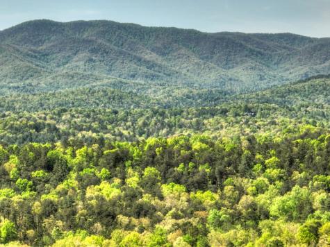 138.06AC N Highway 515 Ellijay GA 30540