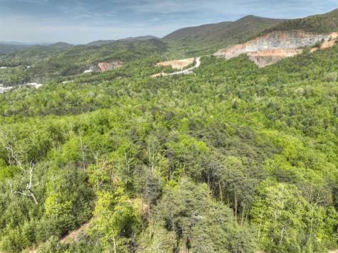 138.06AC N Highway 515 Ellijay GA 30540