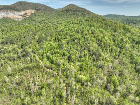 138.06AC N Highway 515 Ellijay GA 30540
