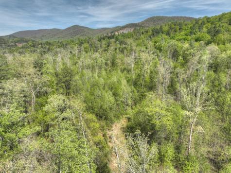 138.06AC N Highway 515 Ellijay GA 30540