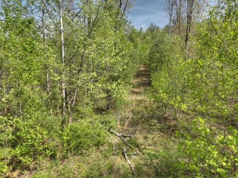 138.06AC N Highway 515 Ellijay GA 30540