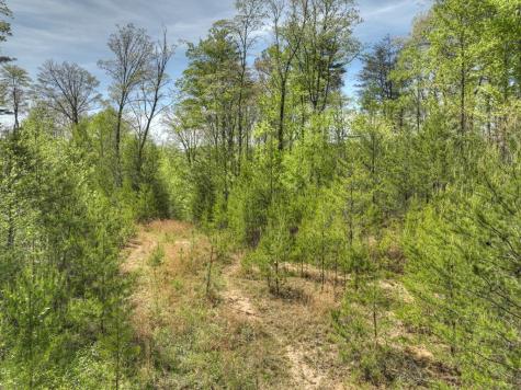 138.06AC N Highway 515 Ellijay GA 30540