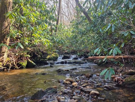 1104 Mill Creek Road Robbinsville NC 28771