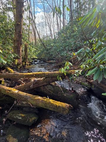 1104 Mill Creek Road Robbinsville NC 28771