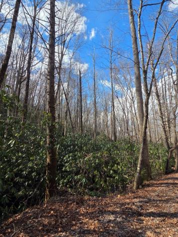 1104 Mill Creek Road Robbinsville NC 28771