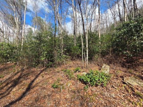 1104 Mill Creek Road Robbinsville NC 28771