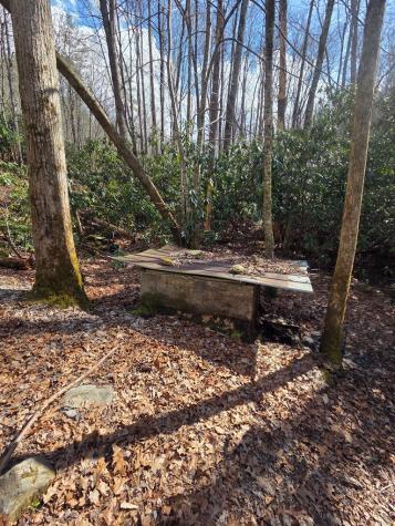 1104 Mill Creek Road Robbinsville NC 28771