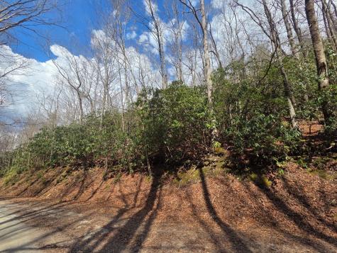 1104 Mill Creek Road Robbinsville NC 28771