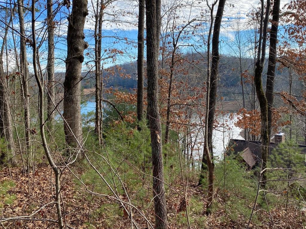 00 Village Road Murphy NC 28906