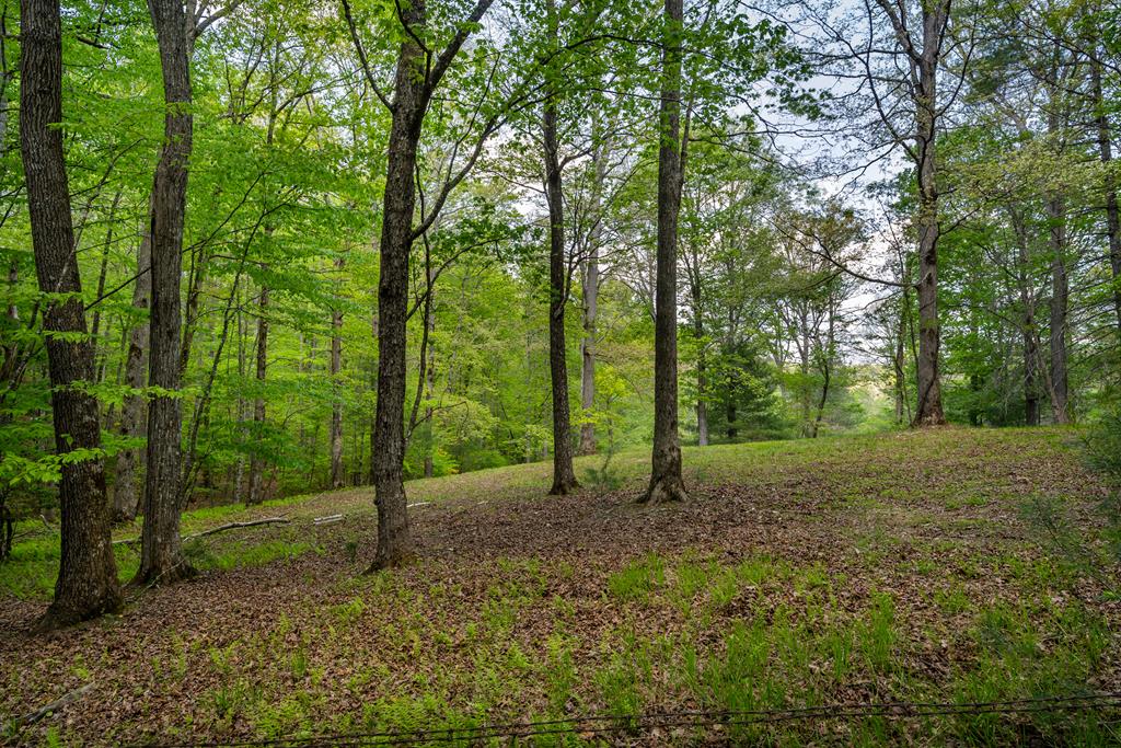 Lot 3-4 Scouts Overlook Lane Morganton GA 30560