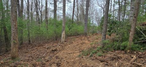 Lot 3-4 Scouts Overlook Lane Morganton GA 30560