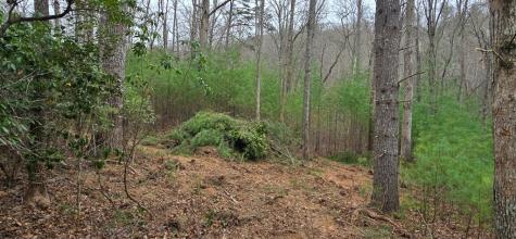 Lot 3-4 Scouts Overlook Lane Morganton GA 30560