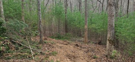Lot 3-4 Scouts Overlook Lane Morganton GA 30560
