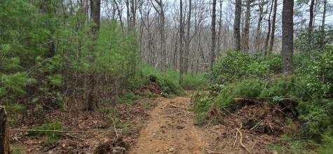 Lot 3-4 Scouts Overlook Lane Morganton GA 30560
