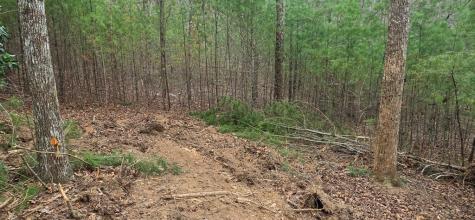 Lot 3-4 Scouts Overlook Lane Morganton GA 30560
