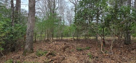 Lot 3-4 Scouts Overlook Lane Morganton GA 30560