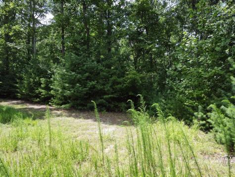 Lot 3-4 Scouts Overlook Lane Morganton GA 30560