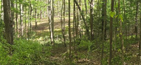 Lot 3-4 Scouts Overlook Lane Morganton GA 30560