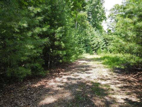 Lot 3-4 Scouts Overlook Lane Morganton GA 30560