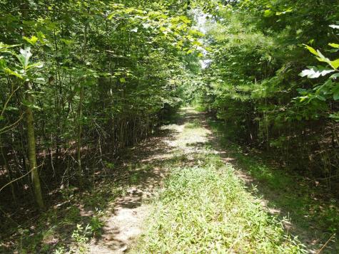 Lot 3-4 Scouts Overlook Lane Morganton GA 30560