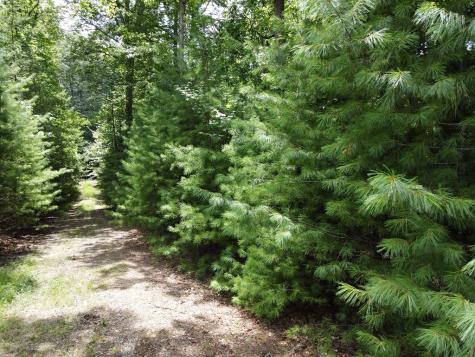 Lot 3-4 Scouts Overlook Lane Morganton GA 30560