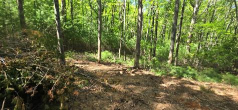 Lot 3-4 Scouts Overlook Lane Morganton GA 30560