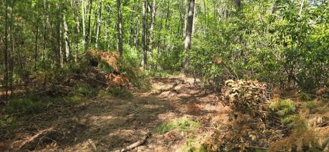 Lot 3-4 Scouts Overlook Lane Morganton GA 30560