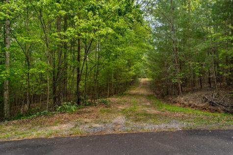 Lot 3-4 Scouts Overlook Lane Morganton GA 30560