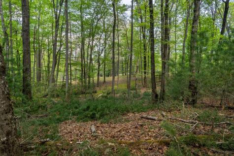 Lot 3-4 Scouts Overlook Lane Morganton GA 30560