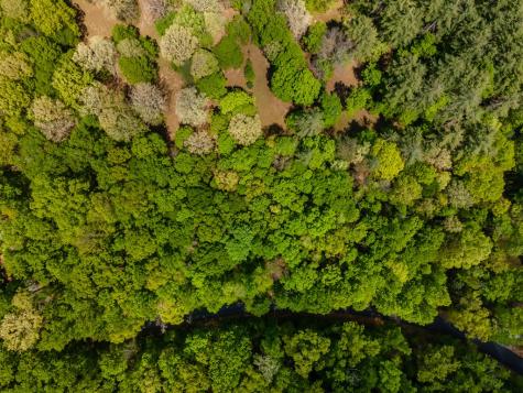 Lot 3-4 Scouts Overlook Lane Morganton GA 30560