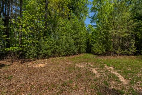 Lot 3-4 Scouts Overlook Lane Morganton GA 30560
