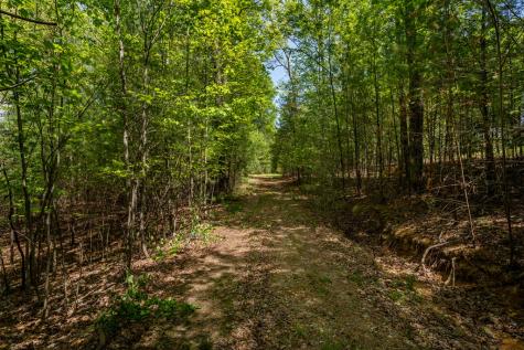 Lot 3-4 Scouts Overlook Lane Morganton GA 30560