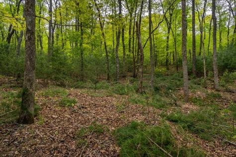 Lot 3-4 Scouts Overlook Lane Morganton GA 30560