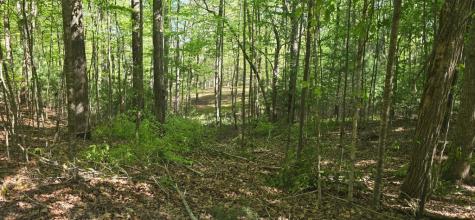 Lot 3-4 Scouts Overlook Lane Morganton GA 30560