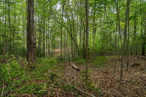 Lot 3-4 Scouts Overlook Lane Morganton GA 30560